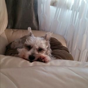 Meet your Posher, Vanessa